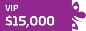 VIP Level VIP Level
