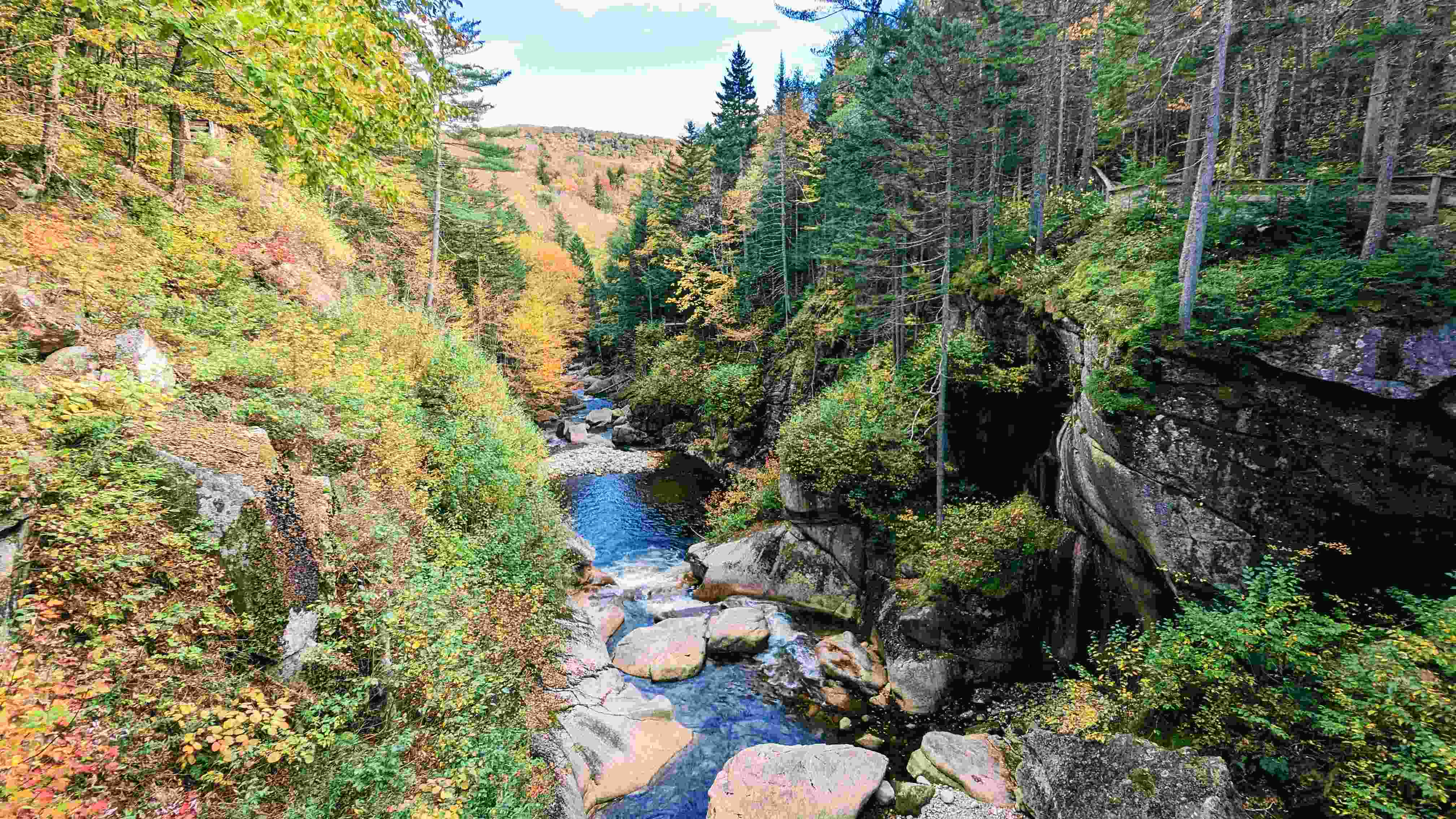 An overview photo of fall foliage and a stream
