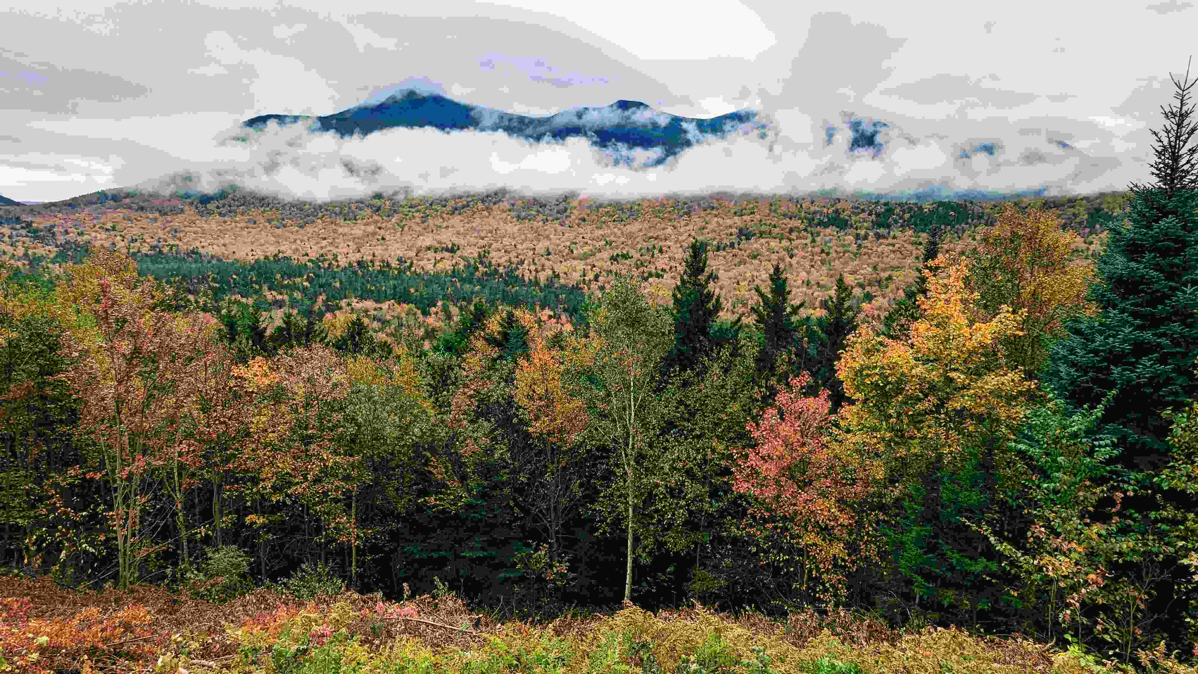 An overview photo of fall foliage and mountains surrounded by clouds