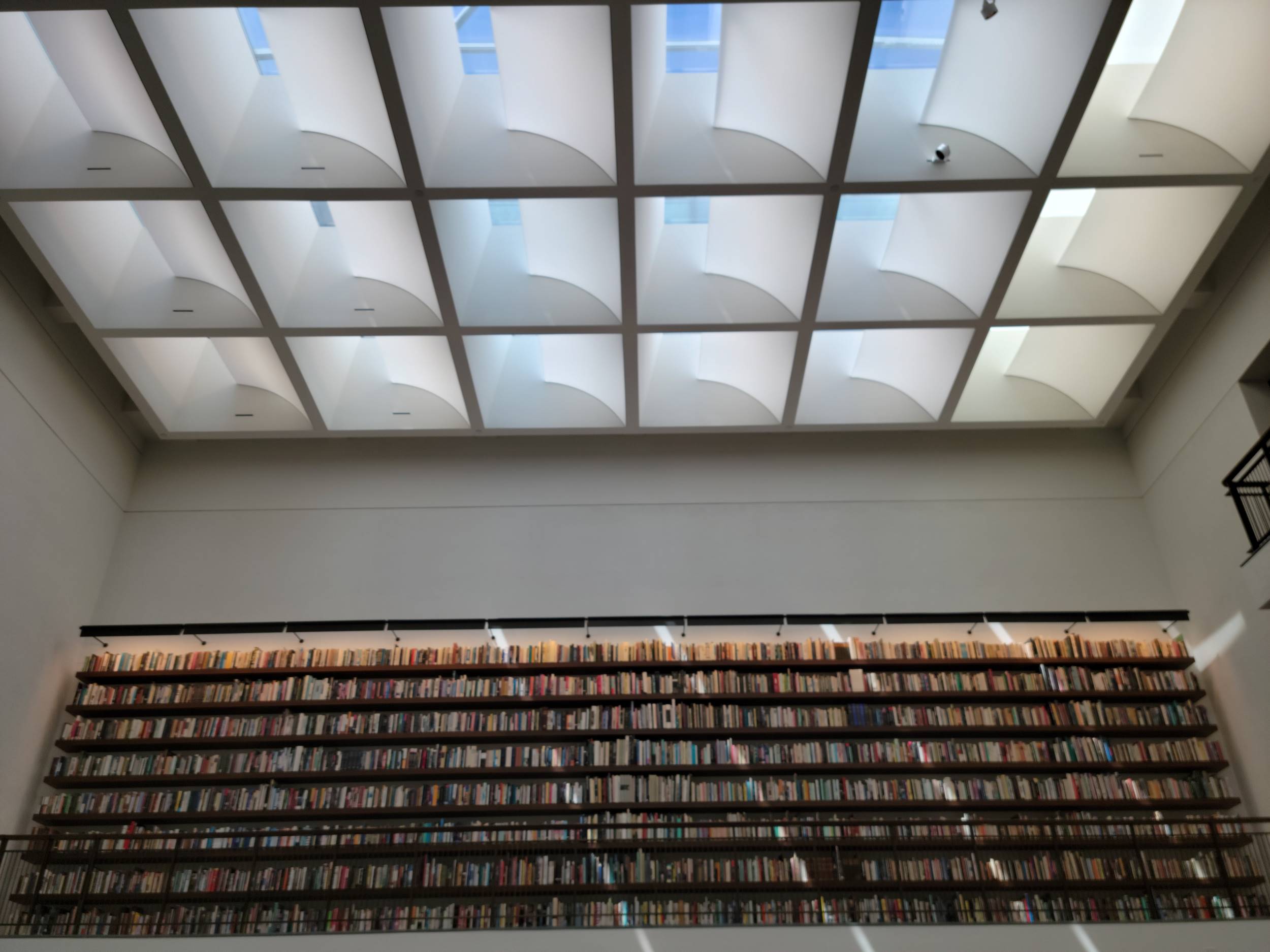 Shelves of books in the second story of a library. The ceiling is portions of glass