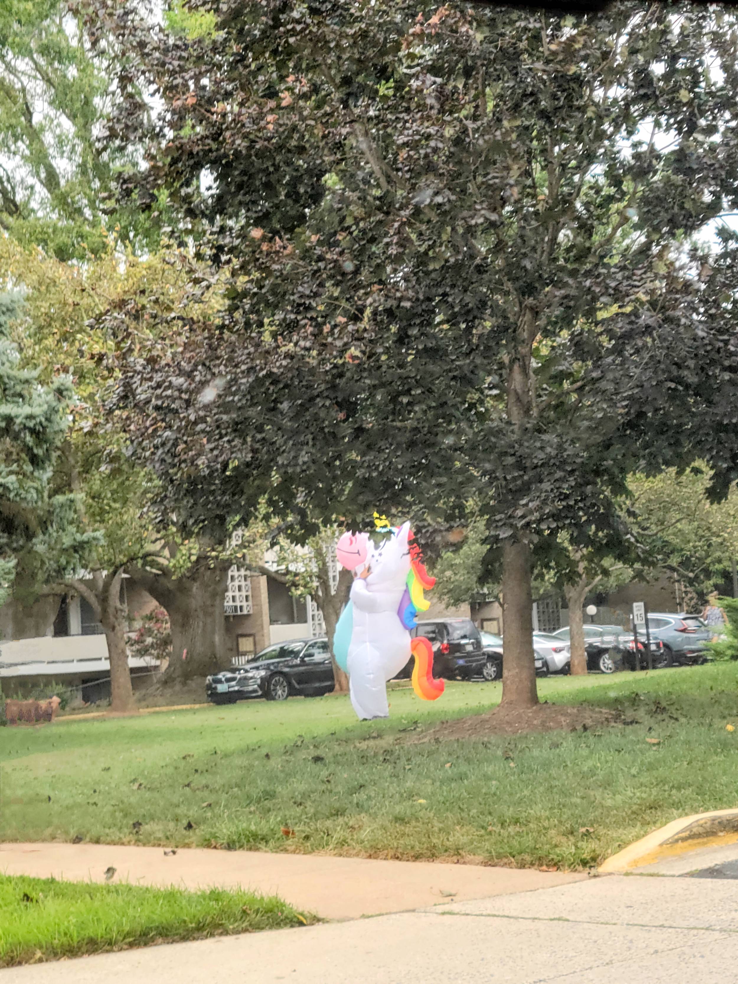 A person dressed up as a unicorn is in a field next to a large tree