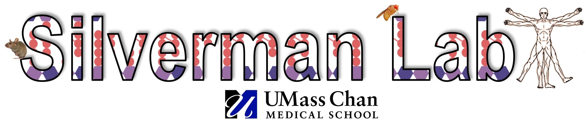 Silverman Lab