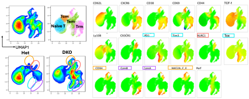 Nucleic Acid Receptors and Monogenic Autoinflammation