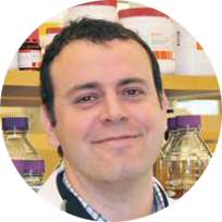 Dr. Miguel Sena-Esteves from the Esteves Lab (Horae Gene Therapy Center) is conducting research and developing therapeutic strategies for rare inherited diseases such as the Tay-Sachs disease
