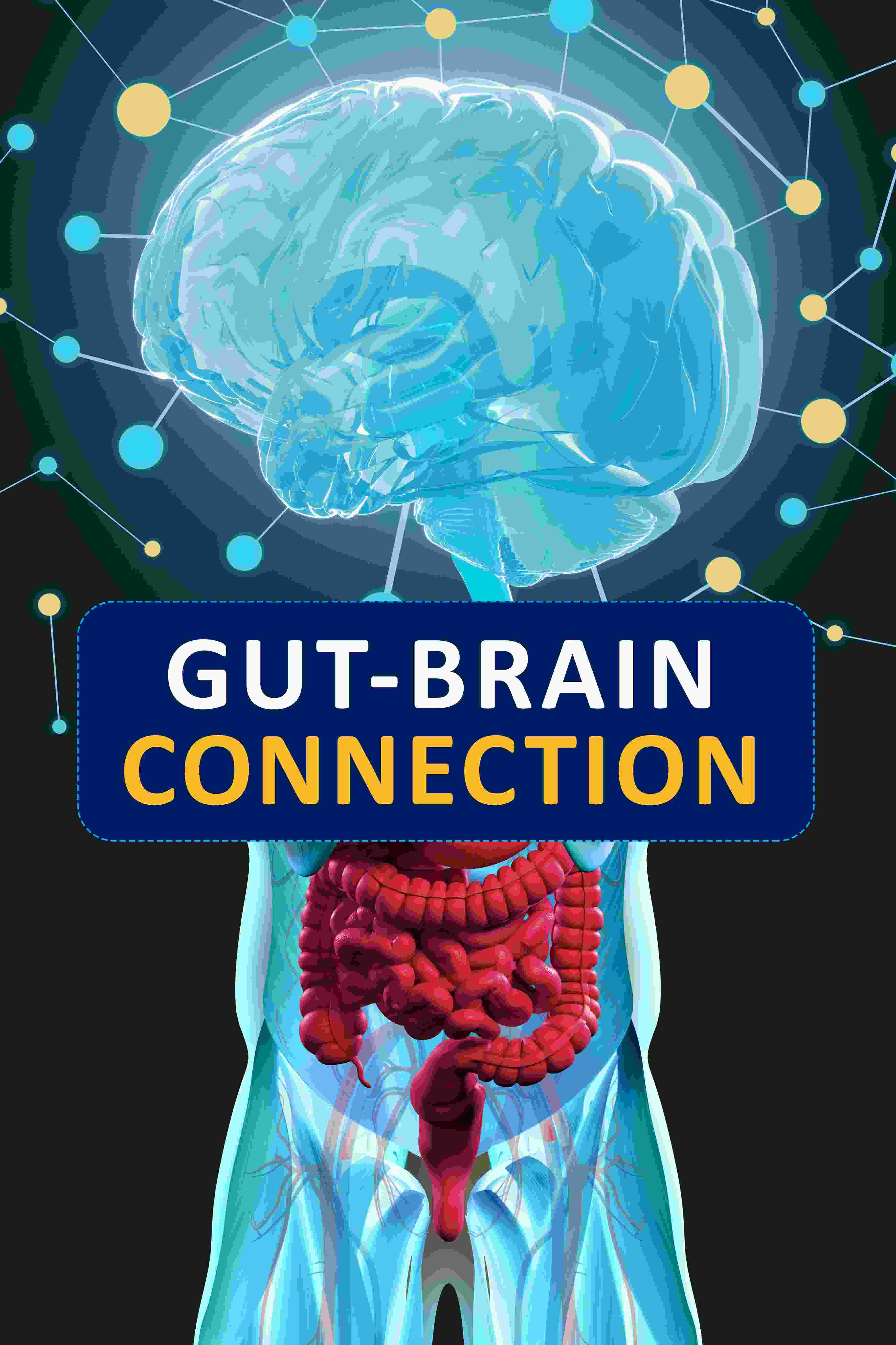 bigstock-Gut-brain-Connection.png
