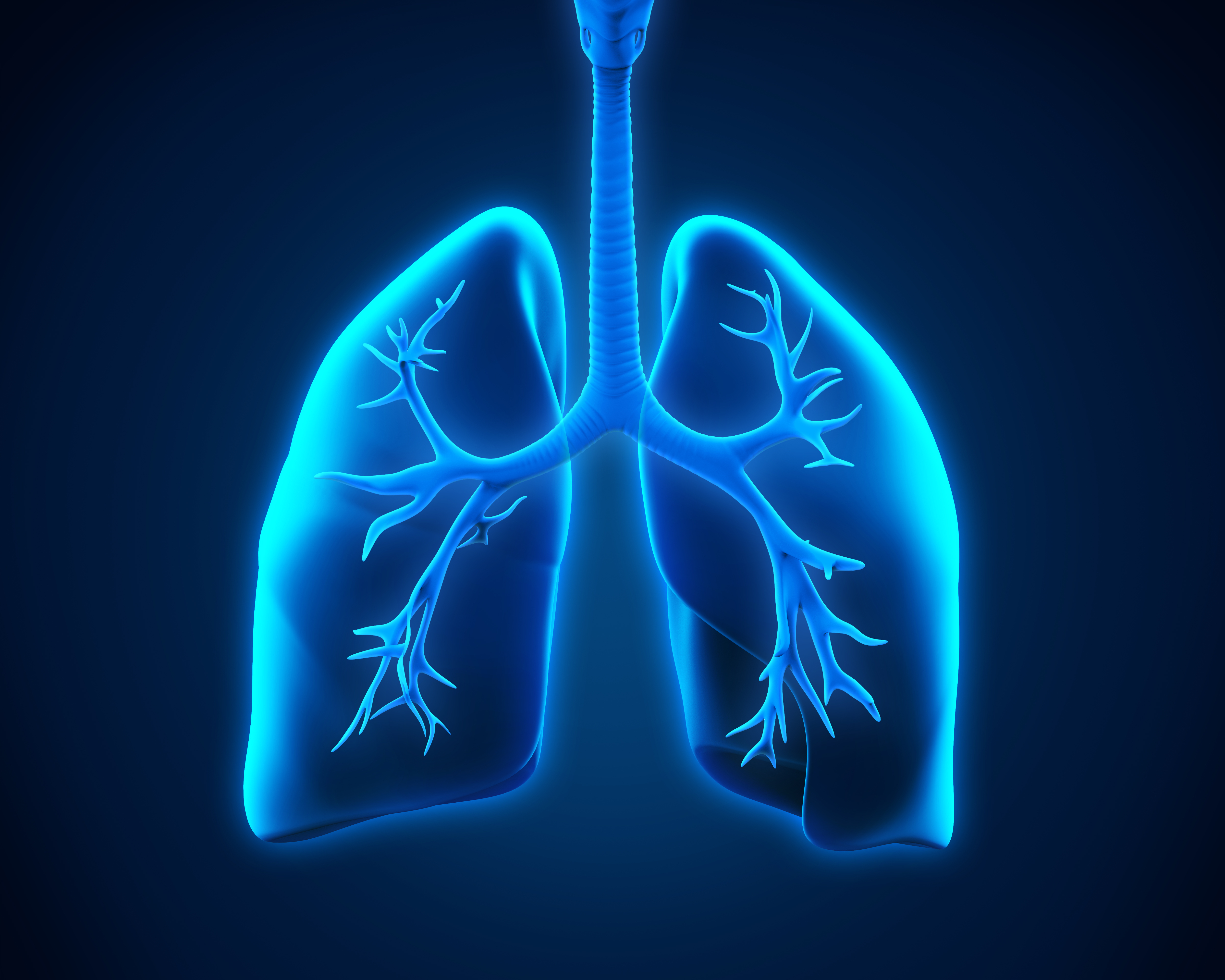 lung