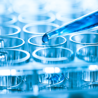 Blue liquid being pipetted into a microtiter dish
