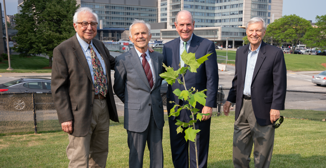 A branch from the “Tree of Hippocrates” is now planted on the campus of UMass Chan Medical School